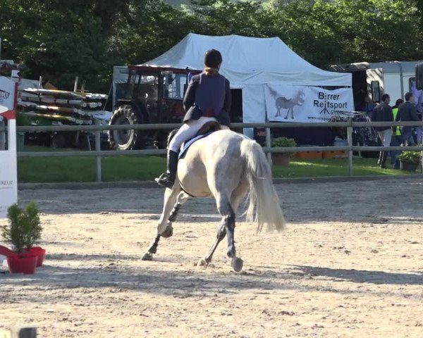 Rottaler Pferdesporttage Buholz 2018