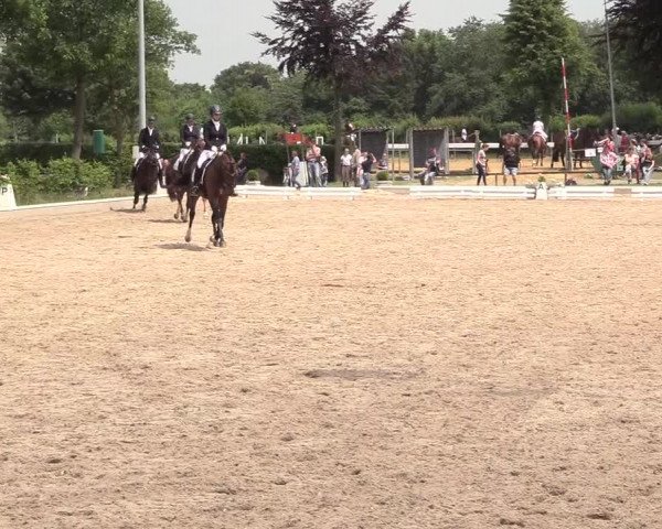 Reitturnier Fröndenberg 2018