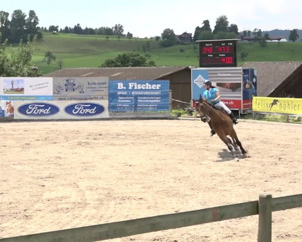 Rottaler Pferdesporttage Buholz 2018