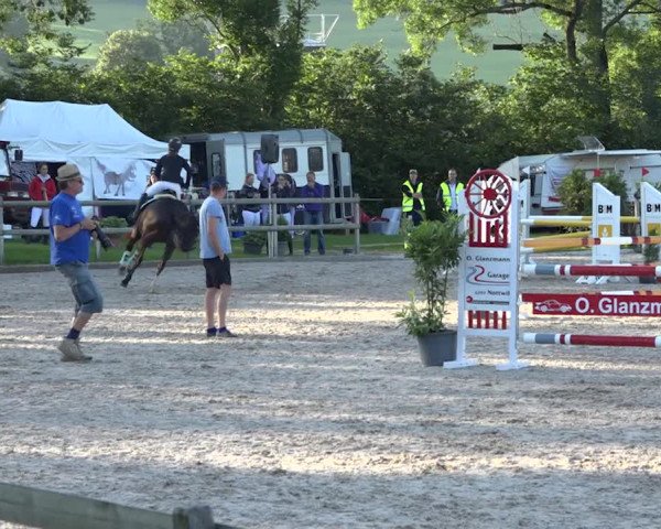 Rottaler Pferdesporttage Buholz 2018