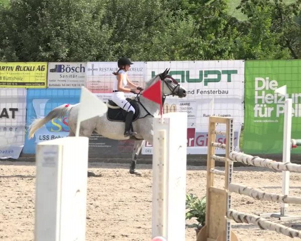 Rottaler Pferdesporttage Buholz 2018