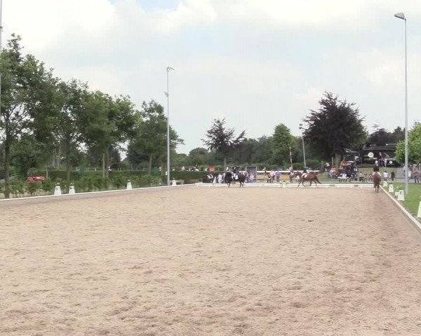 Reitturnier Fröndenberg 2018