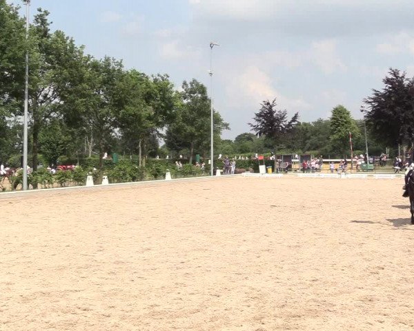 Reitturnier Fröndenberg 2018