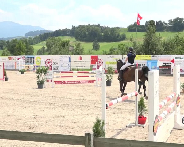 Rottaler Pferdesporttage Buholz 2018