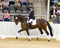 horse Lilly (Hanoverian, 2013, from Lemony's Nicket)
