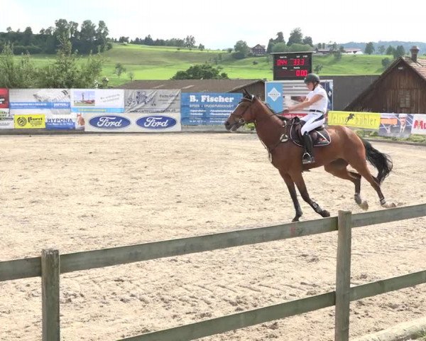 Rottaler Pferdesporttage Buholz 2018