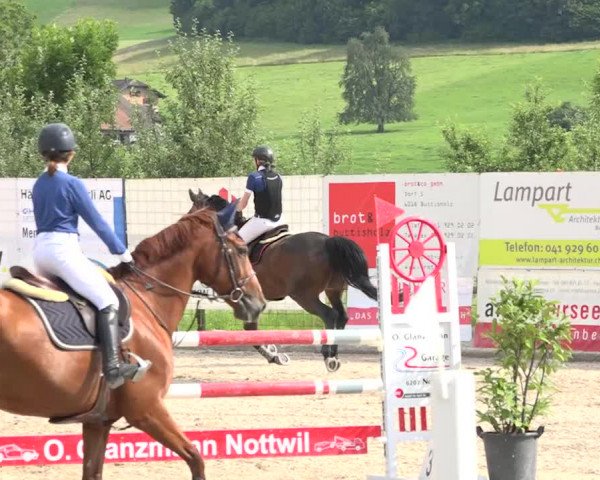 Rottaler Pferdesporttage Buholz 2018