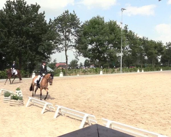 Reitturnier Fröndenberg 2018