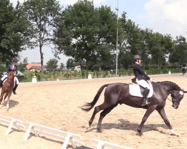 Reitturnier Fröndenberg 2018