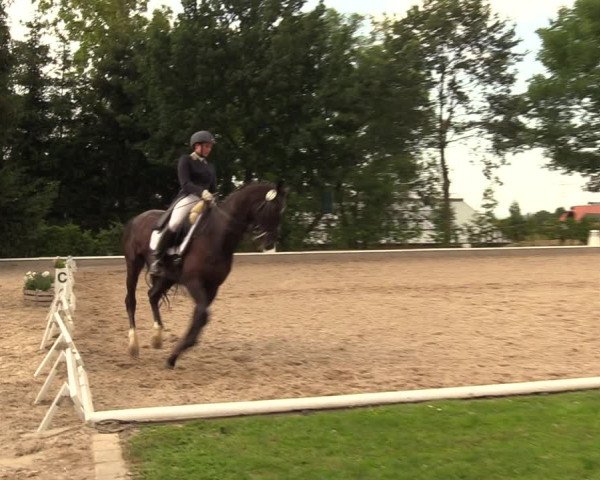 Reitturnier Fröndenberg 2018