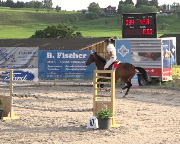 Rottaler Pferdesporttage Buholz 2018