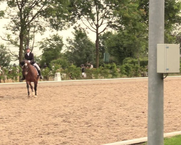 Reitturnier Fröndenberg 2018