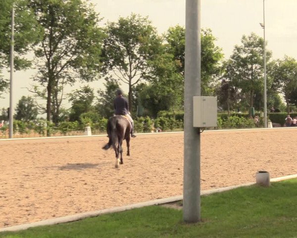 Reitturnier Fröndenberg 2018