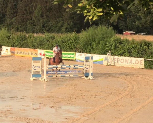 Reitturnier Fröndenberg 2018