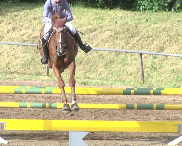 Reitturnier Wiesloch 2018