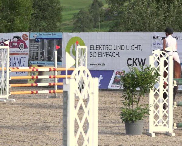 Rottaler Pferdesporttage Buholz 2018