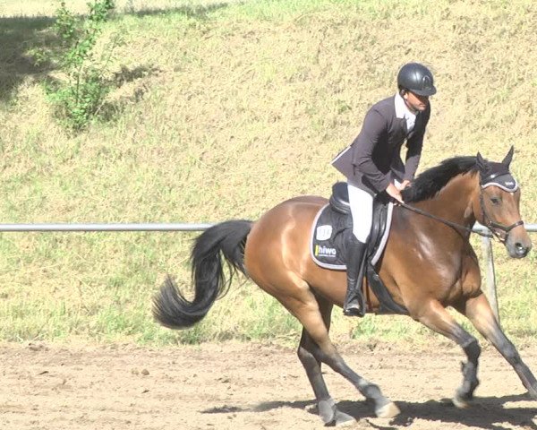 Reitturnier Wiesloch 2018