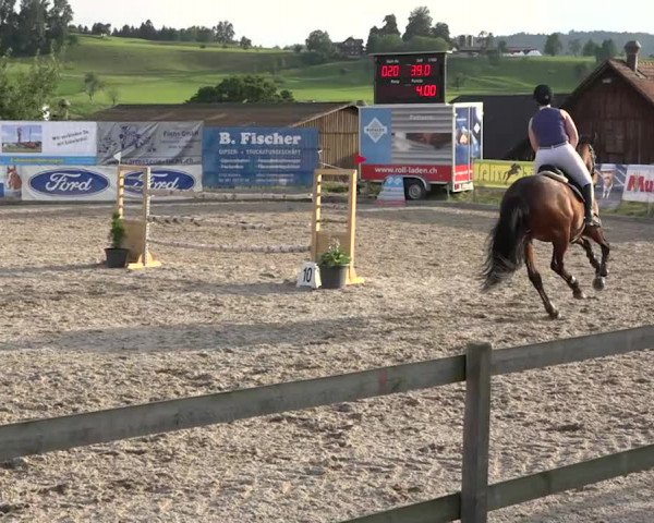 Rottaler Pferdesporttage Buholz 2018