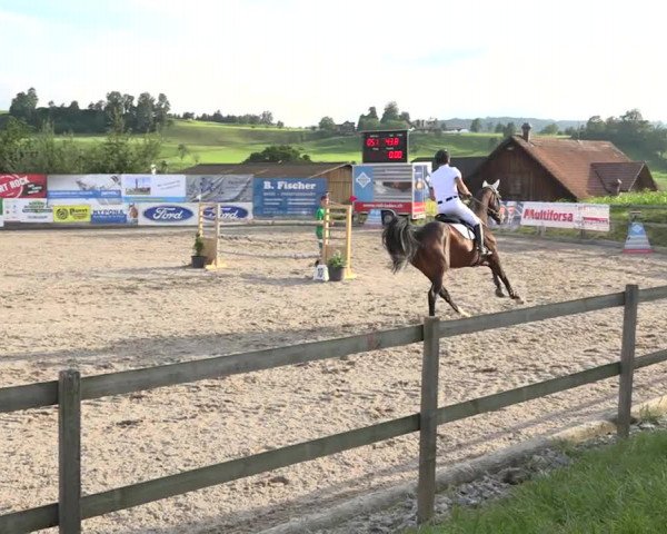 Rottaler Pferdesporttage Buholz 2018