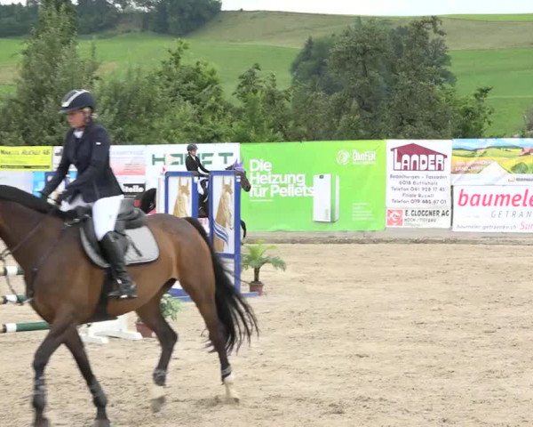 Rottaler Pferdesporttage Buholz 2018