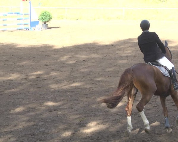 Reitturnier Wiesloch 2018
