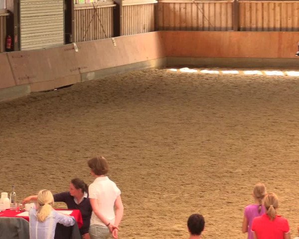Reitturnier Fröndenberg 2018