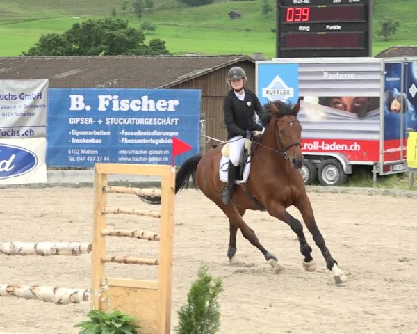 Rottaler Pferdesporttage Buholz 2018