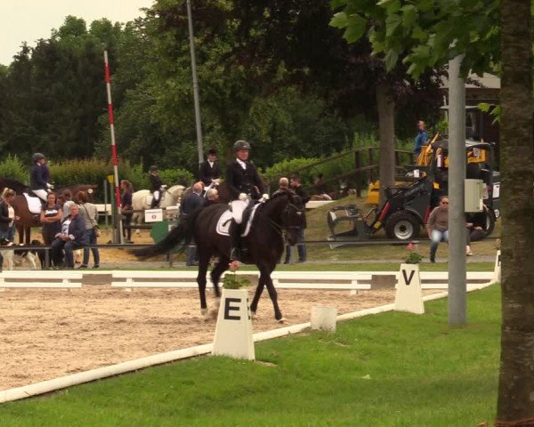 Reitturnier Fröndenberg 2018