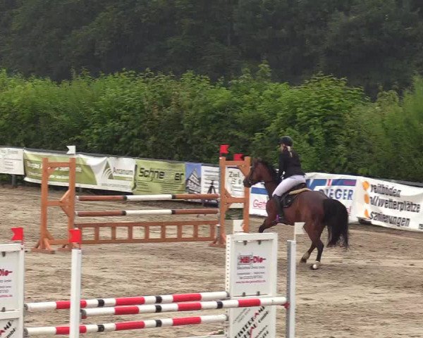 Reitturnier Fröndenberg 2018