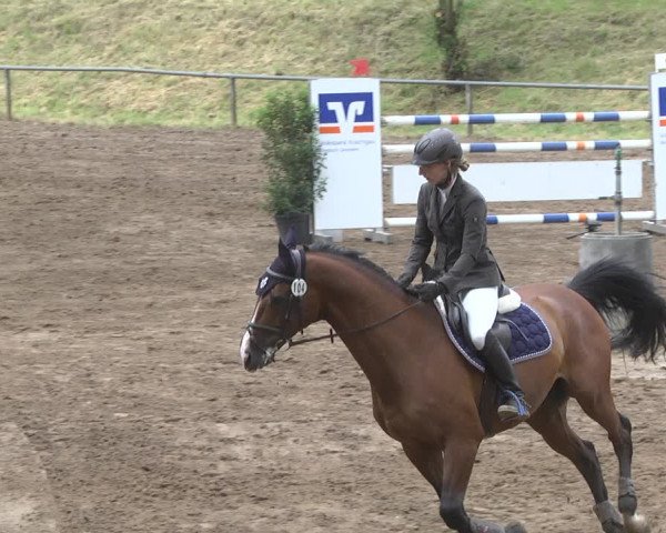 Reitturnier Wiesloch 2018
