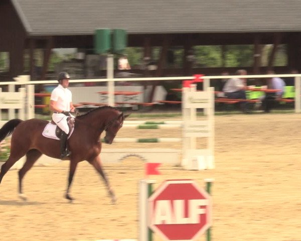 Reitturnier Fröndenberg 2018
