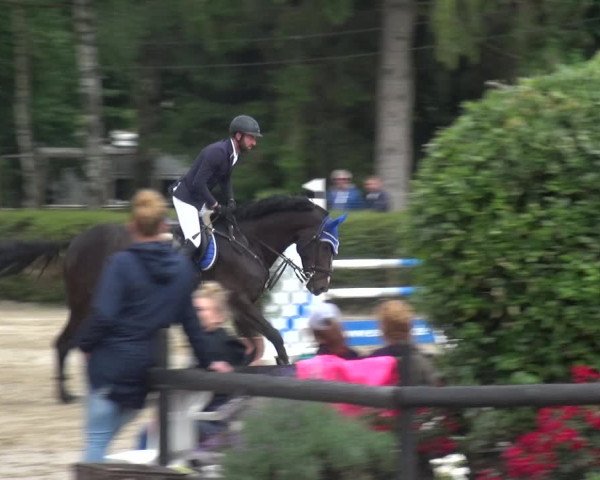 Leverkusener Reitertage - Teitscheider Hof 2018
