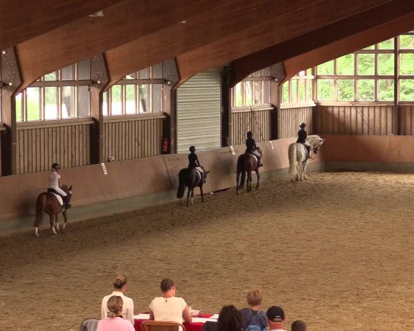 Reitturnier Fröndenberg 2018