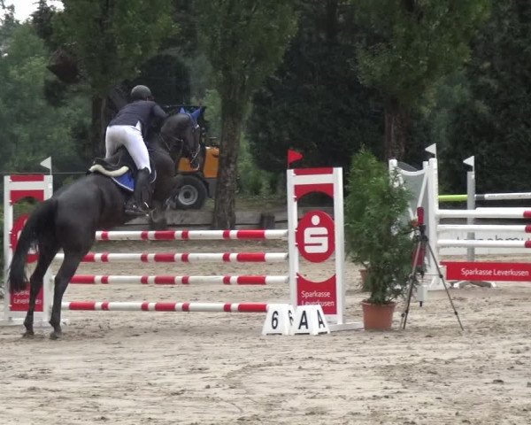 Leverkusener Reitertage - Teitscheider Hof 2018