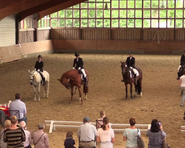 Reitturnier Fröndenberg 2018