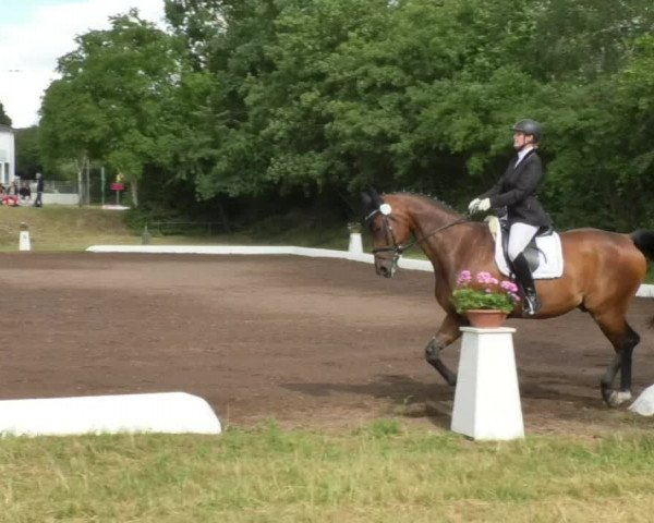 Reitturnier Wiesloch 2018