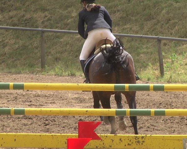 Reitturnier Wiesloch 2018