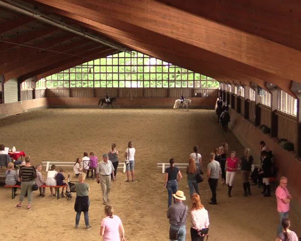 Reitturnier Fröndenberg 2018
