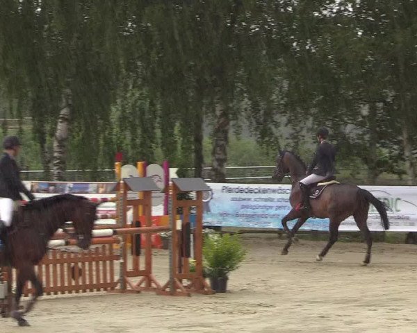 Reitturnier Schwerte-Gut Kückshausen 2018
