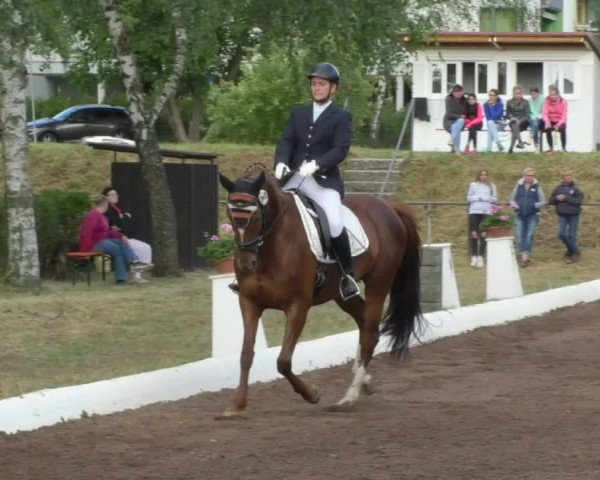 Reitturnier Wiesloch 2018