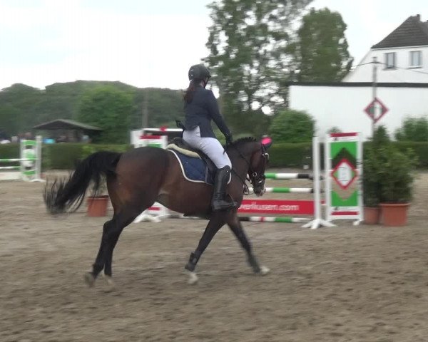 Leverkusener Reitertage - Teitscheider Hof 2018