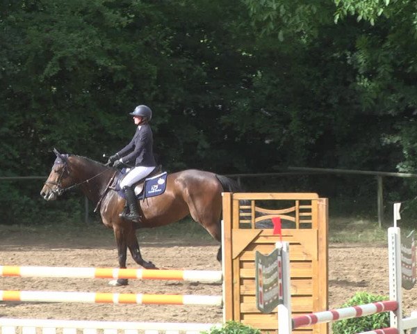 Reitturnier Wiesloch 2018