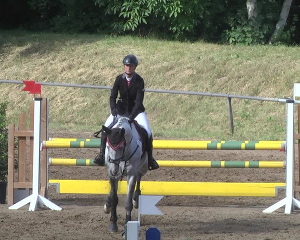 Reitturnier Wiesloch 2018