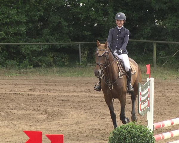 Reitturnier Wiesloch 2018