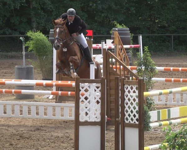 Reitturnier Wiesloch 2018