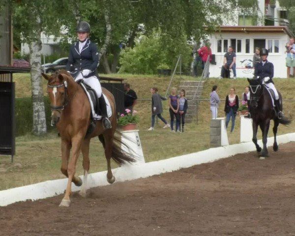 Reitturnier Wiesloch 2018