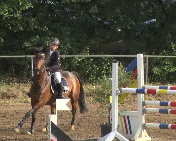 Reitturnier Wiesloch 2018