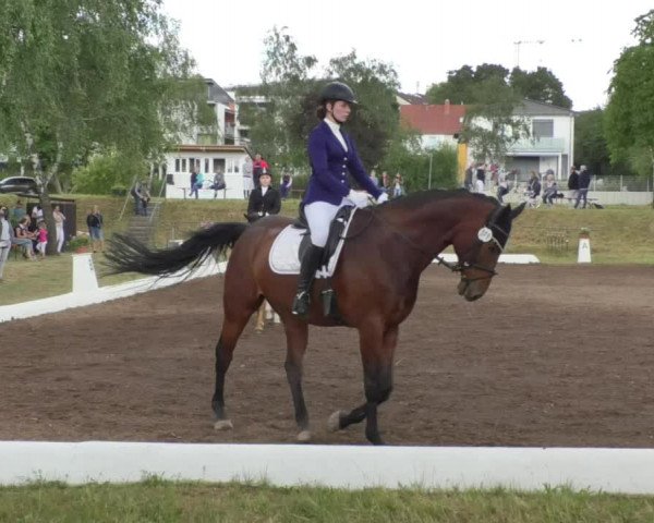 Reitturnier Wiesloch 2018