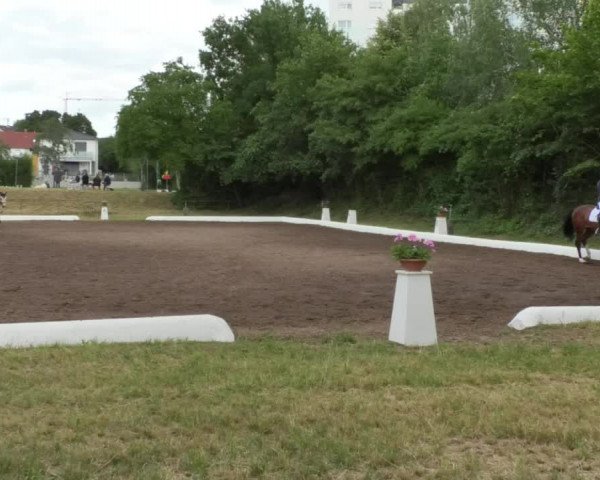 Reitturnier Wiesloch 2018