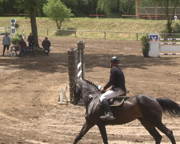 Reitturnier Wiesloch 2018